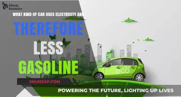 Electric Vehicles: Reducing Gasoline Dependence with Eco-Friendly Car Options