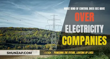 SEC's Power Over Electricity Companies: Unveiling Regulatory Control