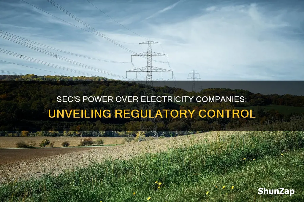 what kind of control does sec have over electricity companies