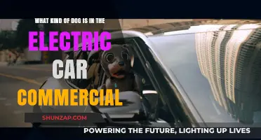 Electric Car Commercial Dog Breed: Unveiling the Canine Star