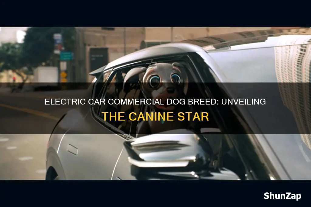 what kind of dog is in the electric car commercial