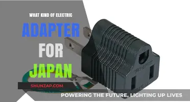 Traveling to Japan? Don't Forget Your Electric Adapter