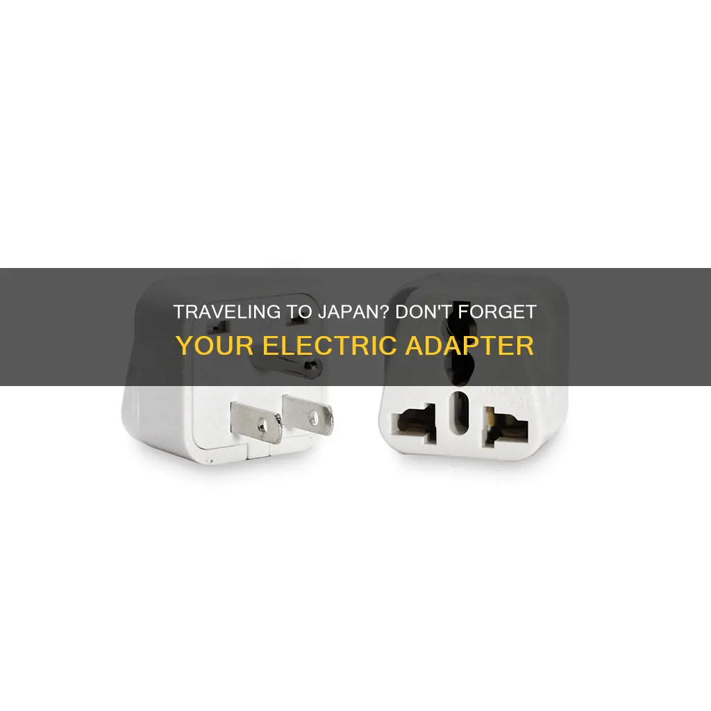 what kind of electric adapter for japan