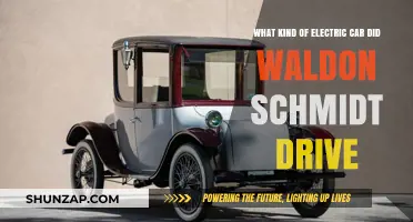 Waldon Schmidt's Electric Car: Unveiling His Eco-Friendly Ride Choice