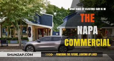 Napa Commercial Electric Car: Unveiling the Eco-Friendly Model Featured