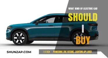 Choosing the Perfect Electric Car: A Comprehensive Buyer's Guide