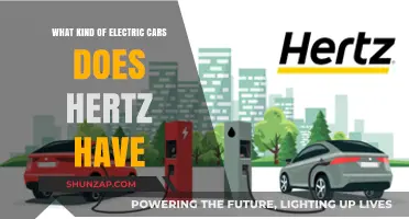 Hertz's Electric Fleet: Exploring Their Eco-Friendly Car Rental Options