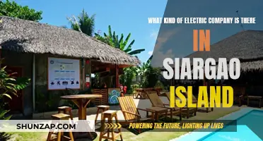 Electric Companies in Siargao Island: Who Powers Paradise?