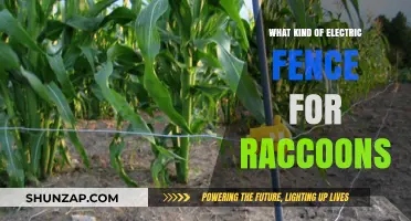 Electric Fences: Keep Raccoons Away With a Zap