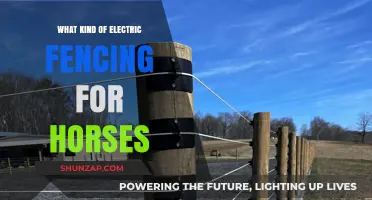 Electric Fencing for Horses: Choosing the Right Fence
