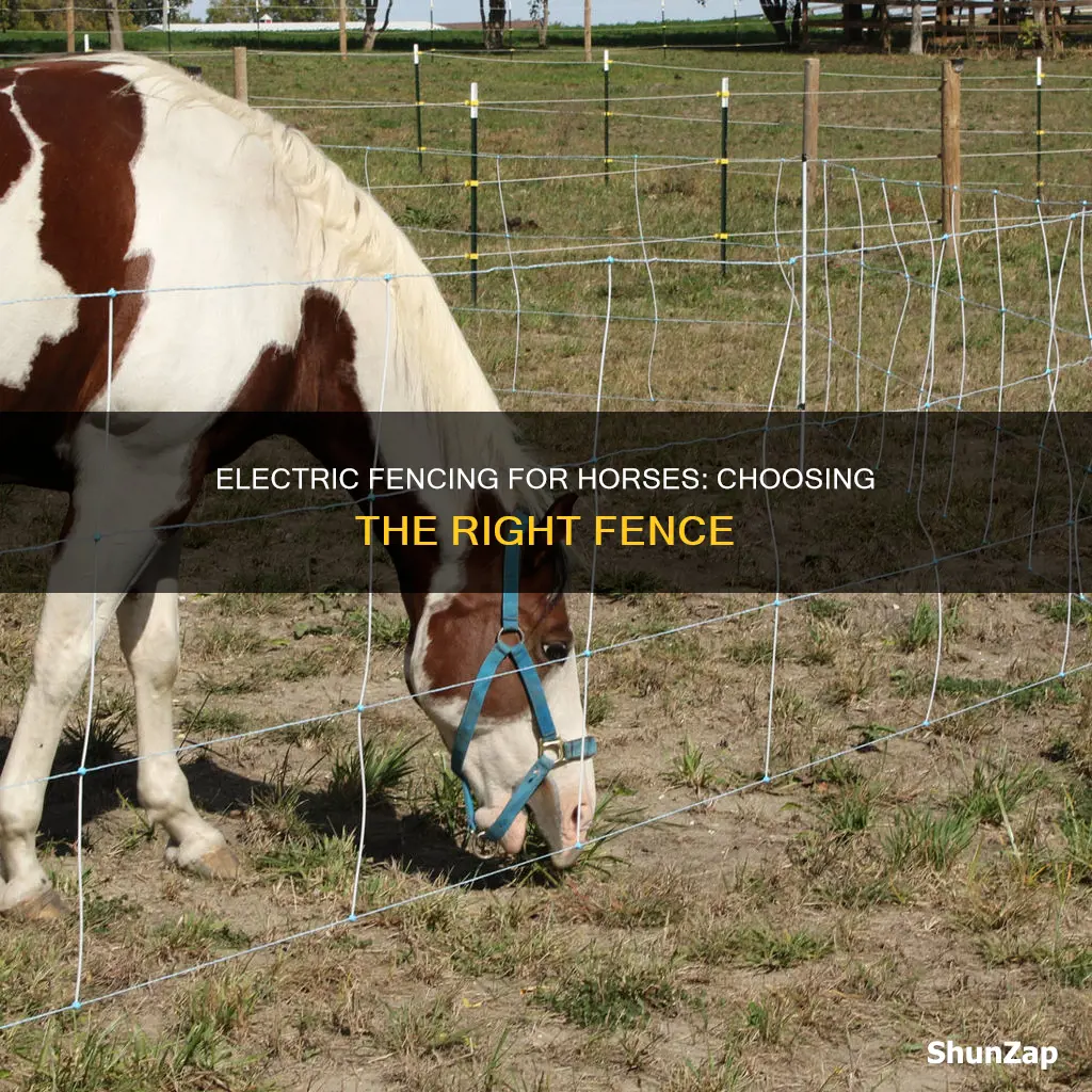 what kind of electric fencing for horses