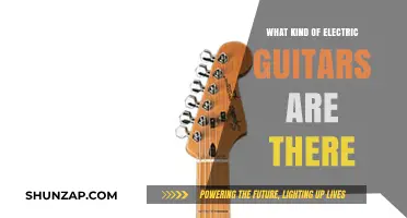 Explore the Electric Guitar Family