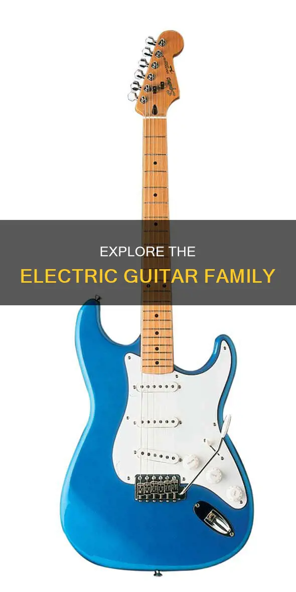 what kind of electric guitars are there