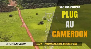 Electric Plug Compatibility: Cameroon and Australia
