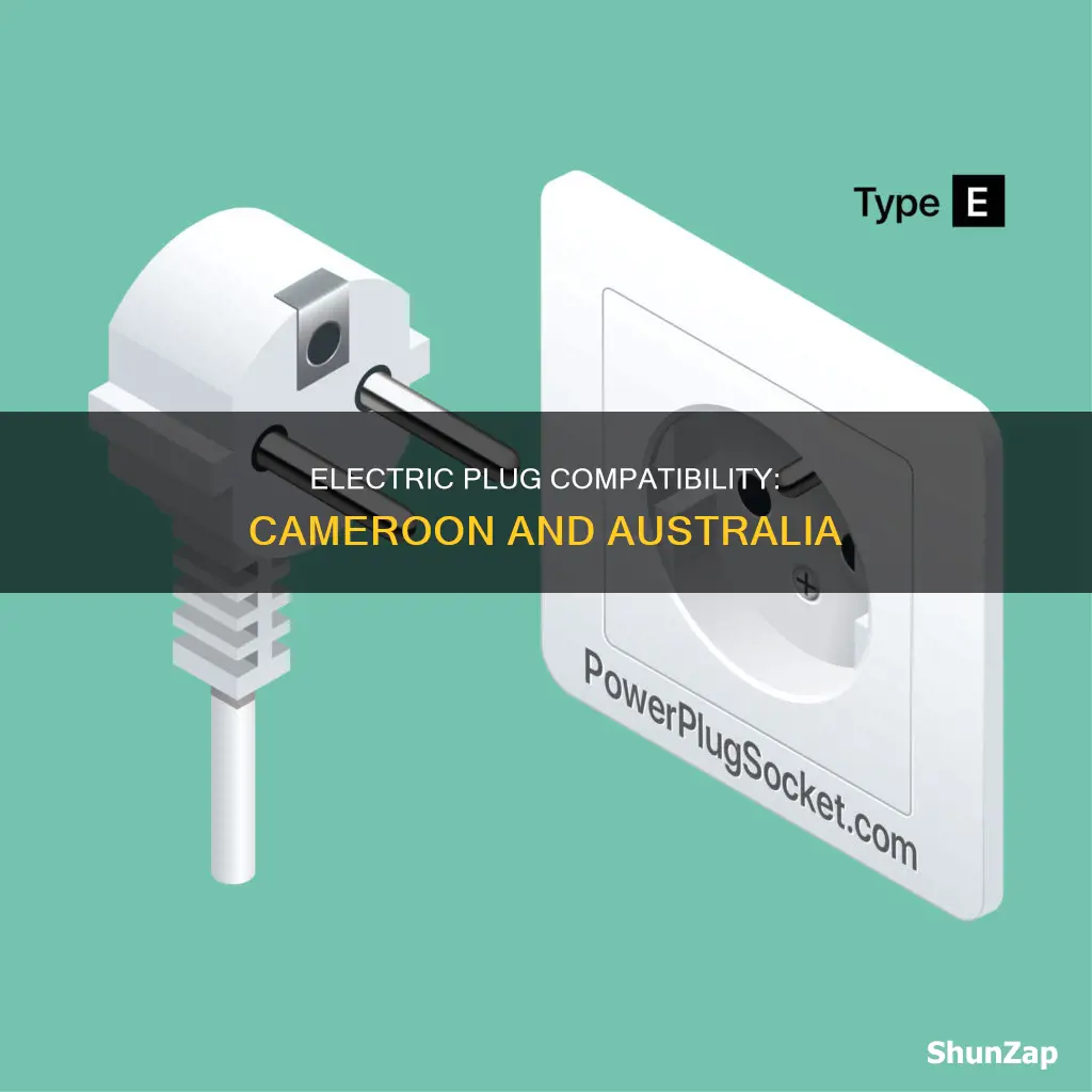 what kind of electric plug au cameroon