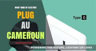 Electric Plug Types in Cameroon: A Guide