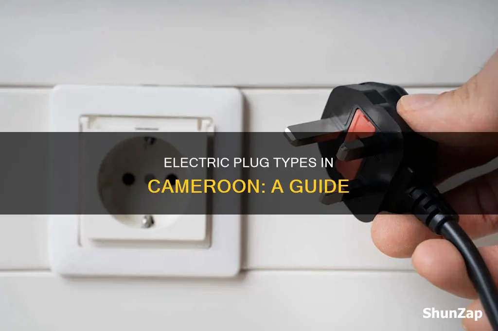 what kind of electric plug au cameroun