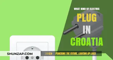 Electric Plugs in Croatia: What Type Do You Need?