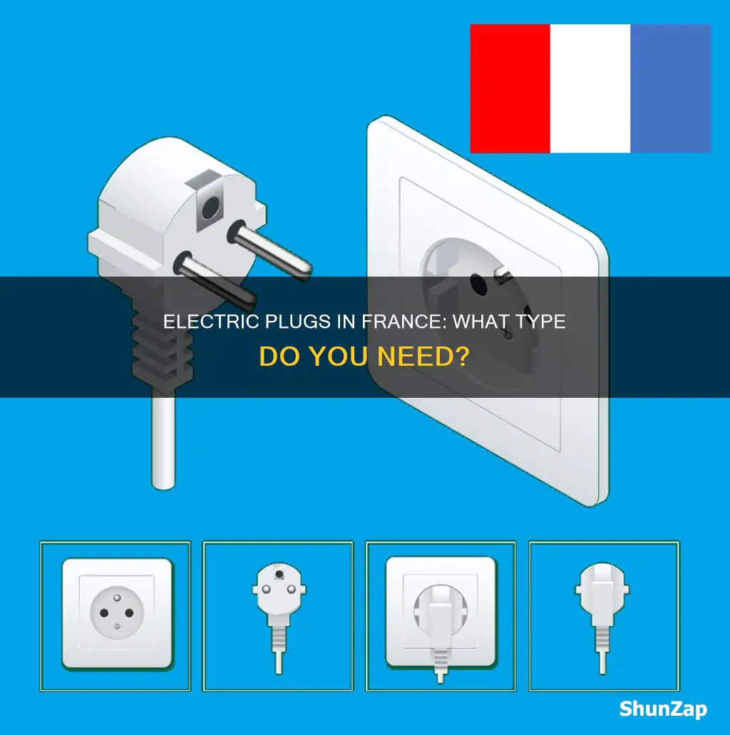what kind of electric plug in france