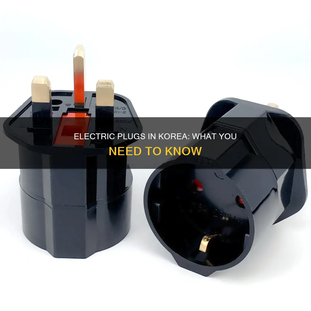 what kind of electric plug in korea