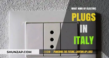 Electric Plugs in Italy: What Type Do You Need?