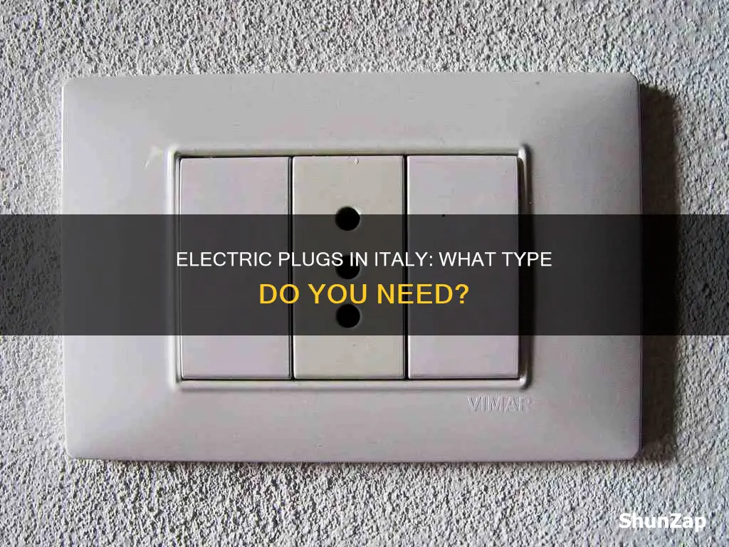 what kind of electric plugs in italy