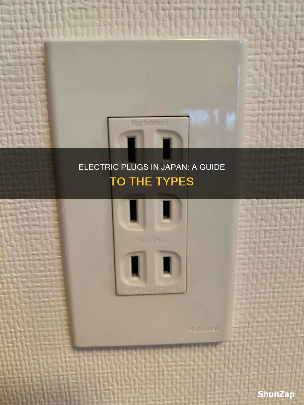 what kind of electric plugs in japan