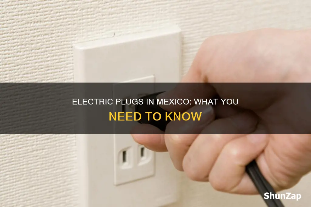 what kind of electric plugs in mexico