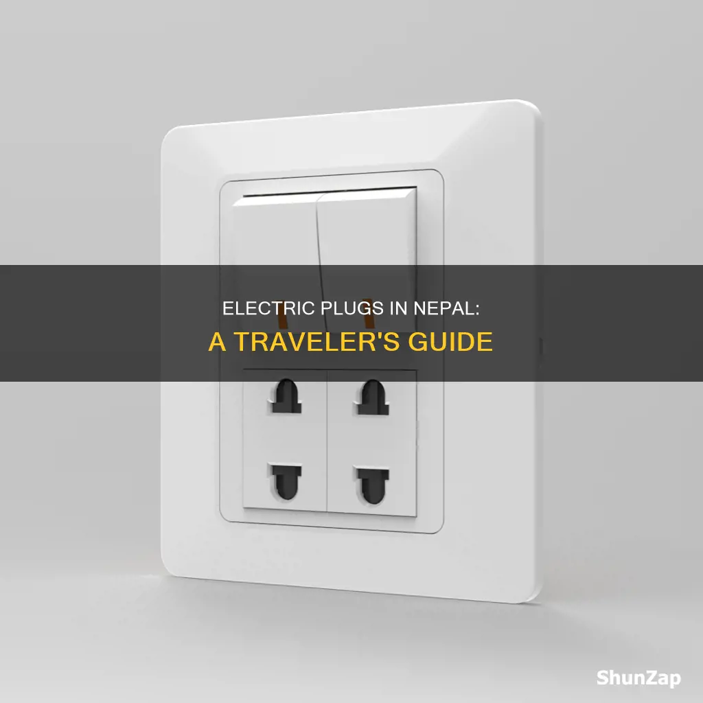 what kind of electric plugs in nepal