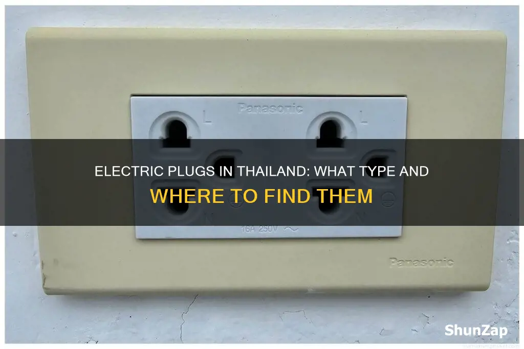 what kind of electric plugs in thailand