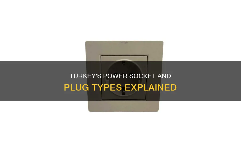 what kind of electric plugs in turkey
