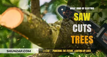 Best Electric Saws for Cutting Trees