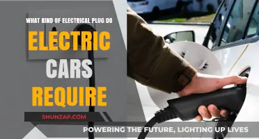 Electric Car Charging: Understanding the Required Electrical Plug Types