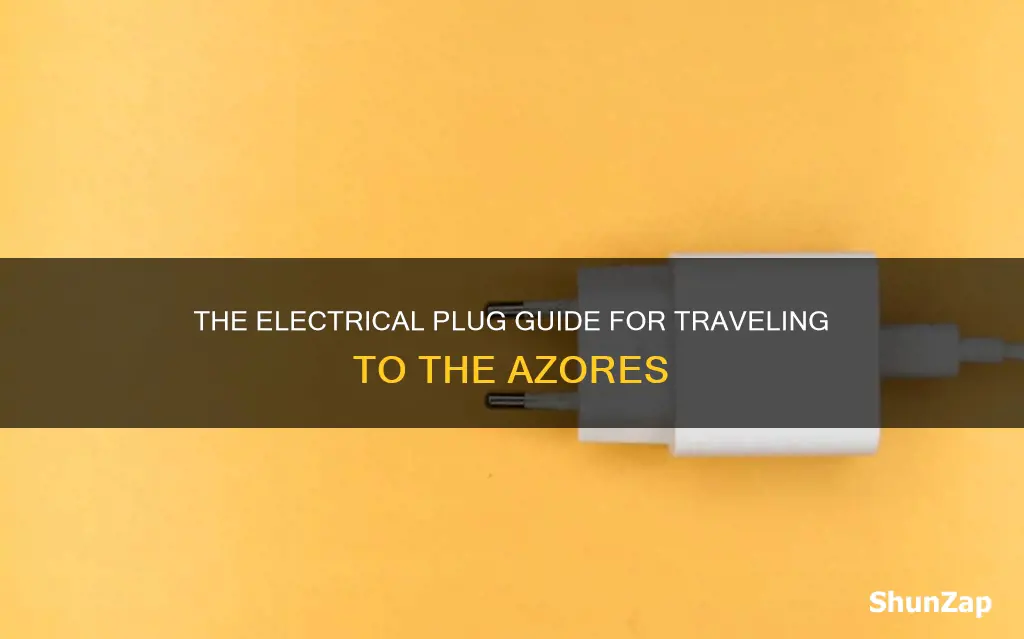 what kind of electrical plug for azores