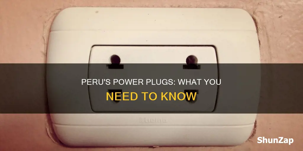 what kind of electrical plug in peru