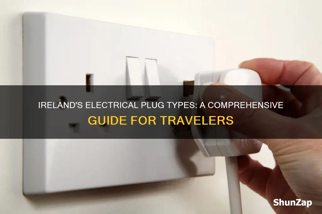 what kind of electrical plugs do they use in ireland