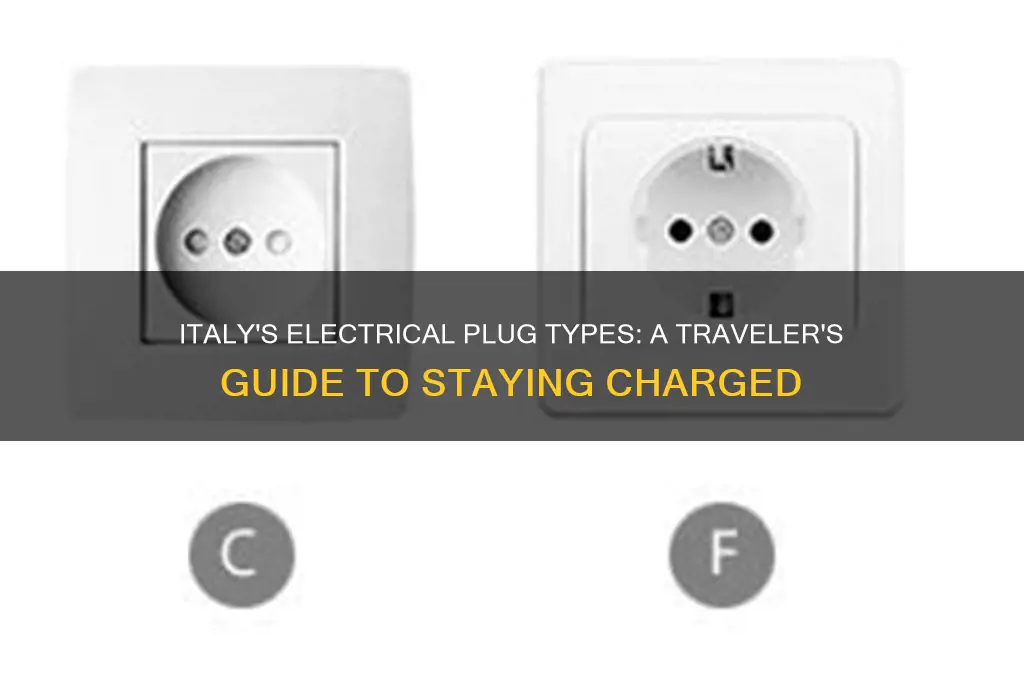 what kind of electrical plugs do they use in italy
