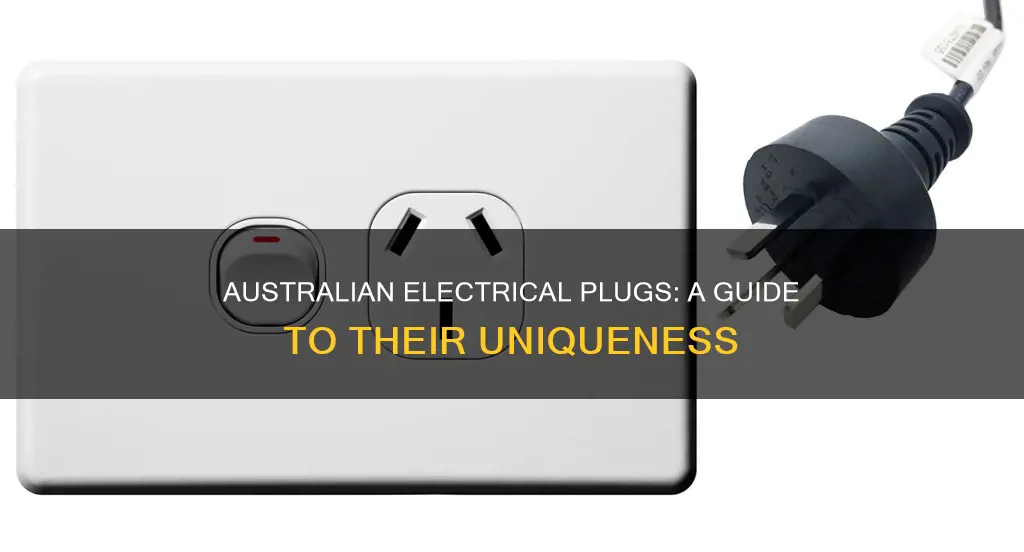 what kind of electrical plugs in australia