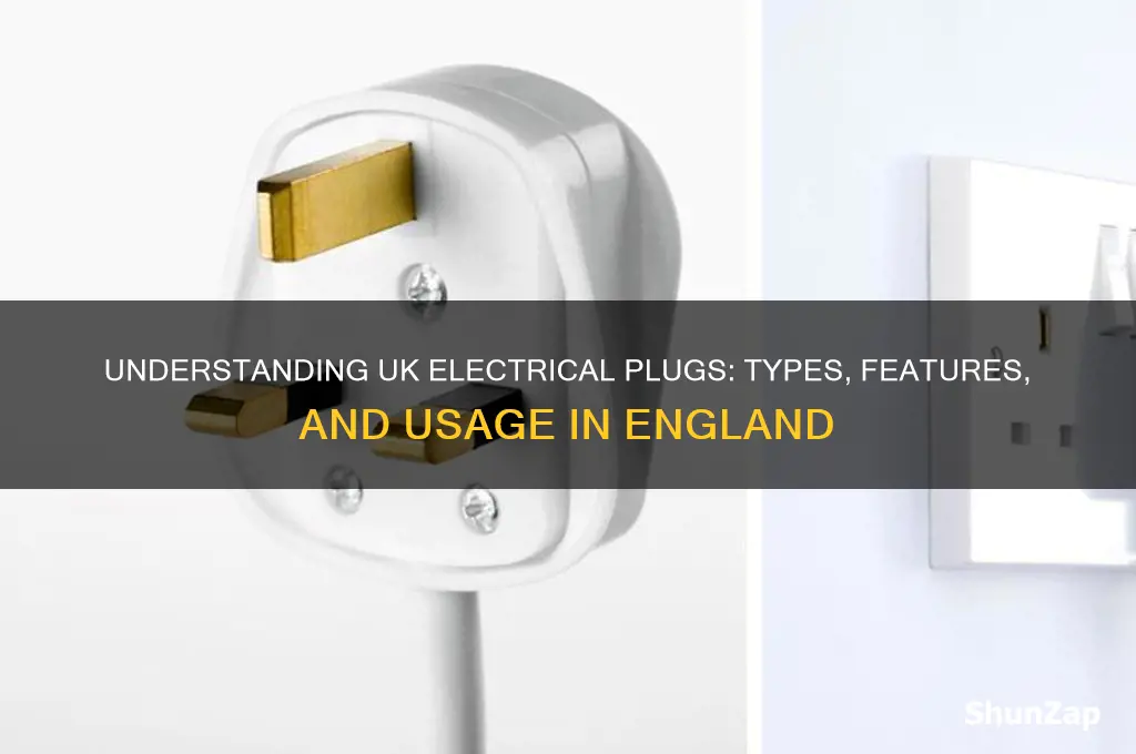 what kind of electrical plus do they use in england