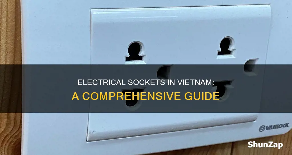 what kind of electrical sockets in vietnam