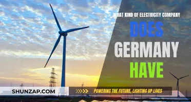 Germany's Energy Transition: A Look at Its Power Companies