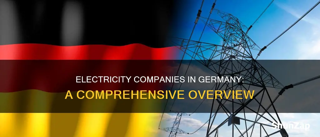 what kind of electricity company does germany have