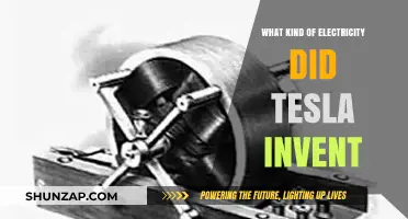 Tesla's Vision: Alternating Current Electricity Revolutionized