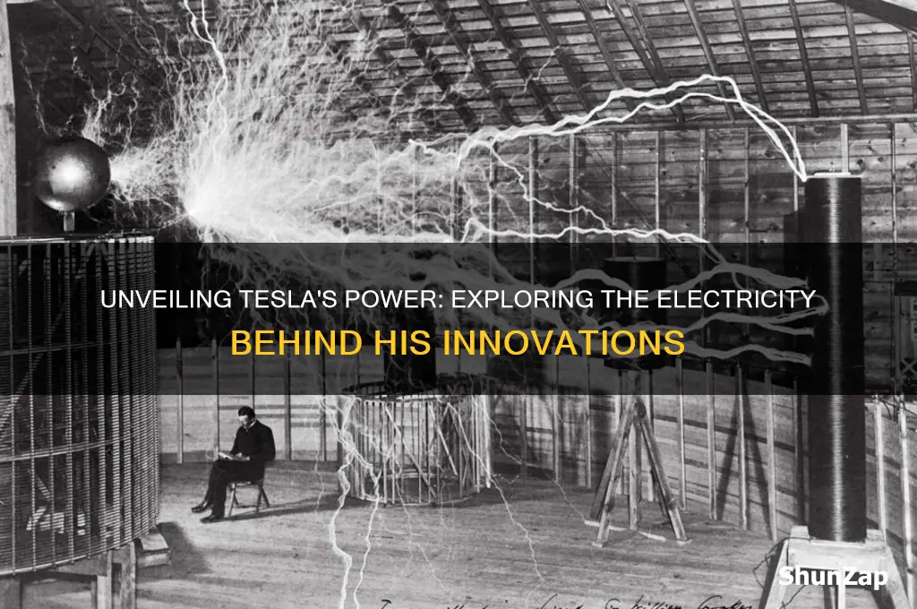 what kind of electricity did tesla use
