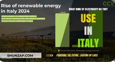 Italy's Power Sources: Exploring the Types of Electricity Used Nationwide
