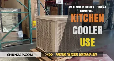 Commercial Kitchen Cooler Electricity: Powering Efficiency in Food Storage
