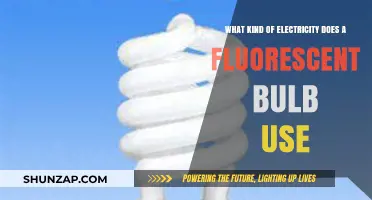 Understanding Fluorescent Bulb Electricity: AC Power and Gas Discharge Explained