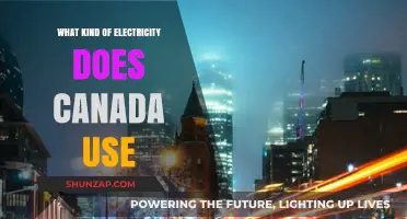 Canada's Power Sources: Exploring the Types of Electricity Used Nationwide