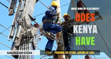 Electricity in Kenya: Powering the Country with [X]