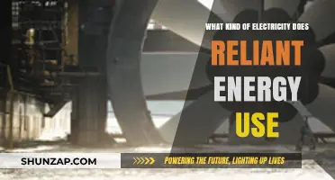 Reliant Energy's Power Sources: Understanding Their Electricity Generation Mix